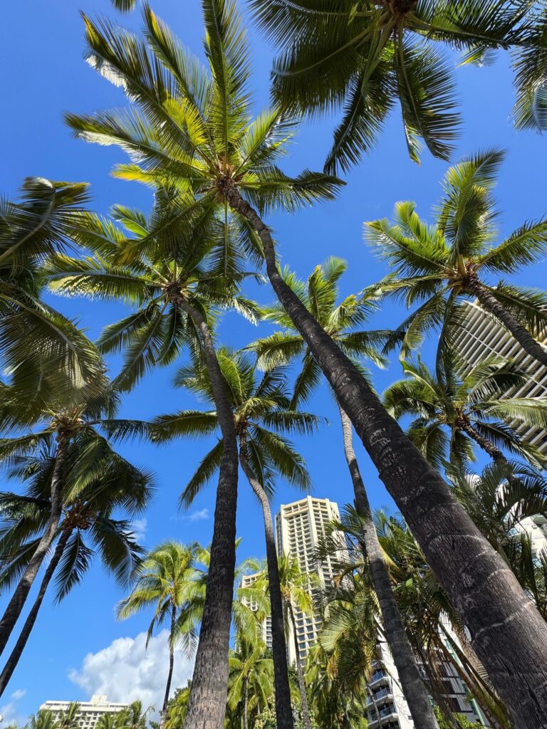 COS-2025-Hawaii-4.jpg